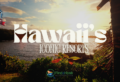 Dugan’s Travels Showcases Hawaii’s Iconic Resorts in Exclusive FAM Trip for Travel Advisors - Contributed By: Dugan’s Travels