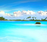 Betty Barnes Travel Logo